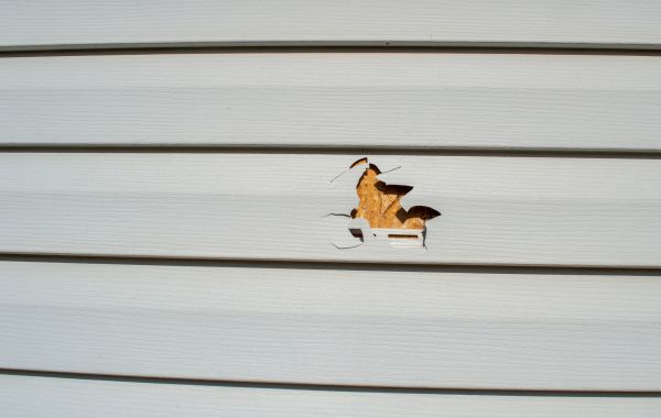 Cost of Siding Hole Patching in Easton