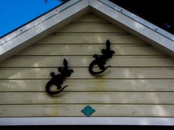 Cost of Shiplap Siding Installation in Easton